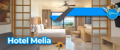 Hotel Melia Vallarta